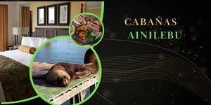 Description of image